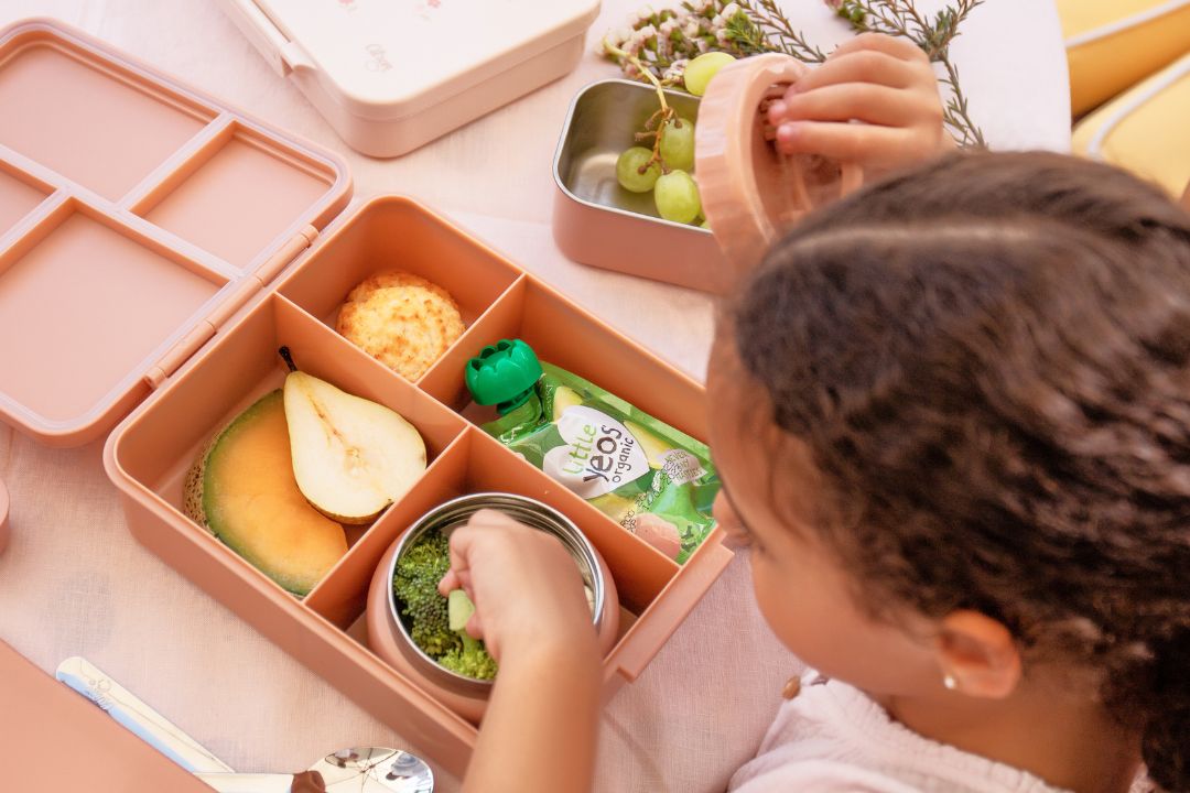 Best Bento Box Lunches For Kids