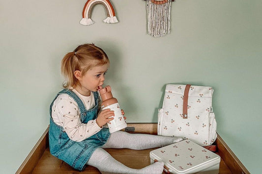 Insulated lunch bags