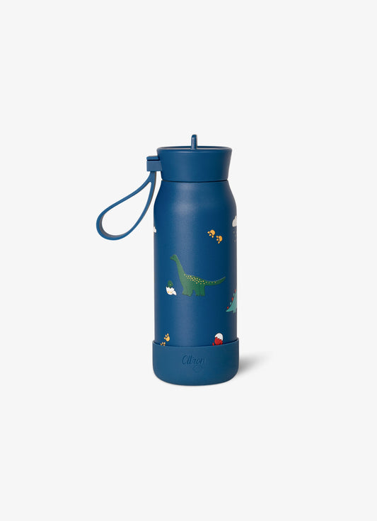 250ml Insulated Water Bottle - Dino