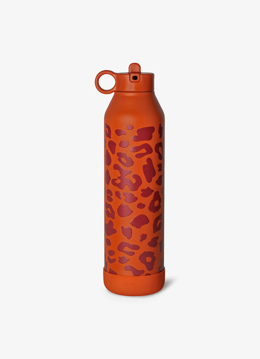 750ml Insulated Water Bottle - Leo
