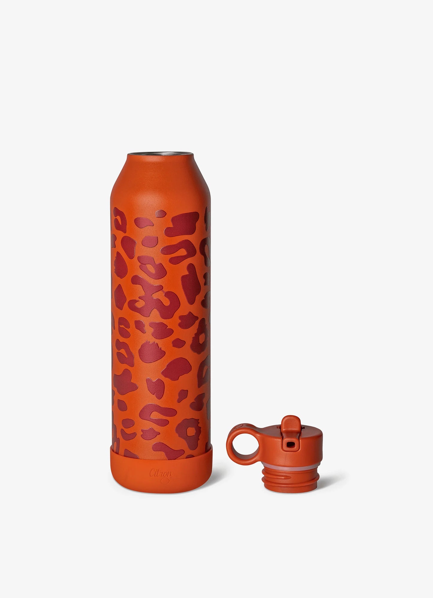 750ml Insulated Water Bottle Leo