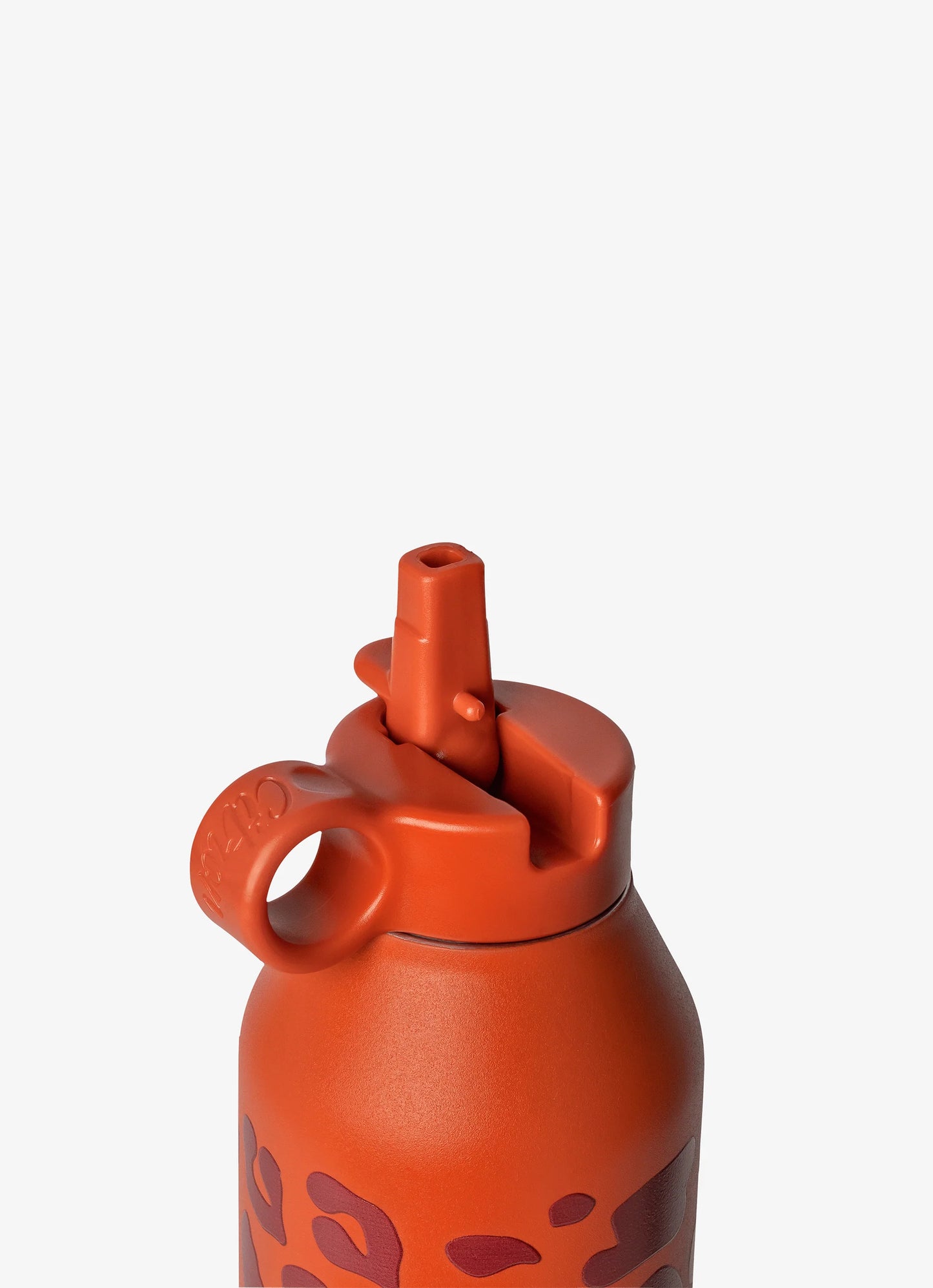 750ml Insulated Water Bottle Leo