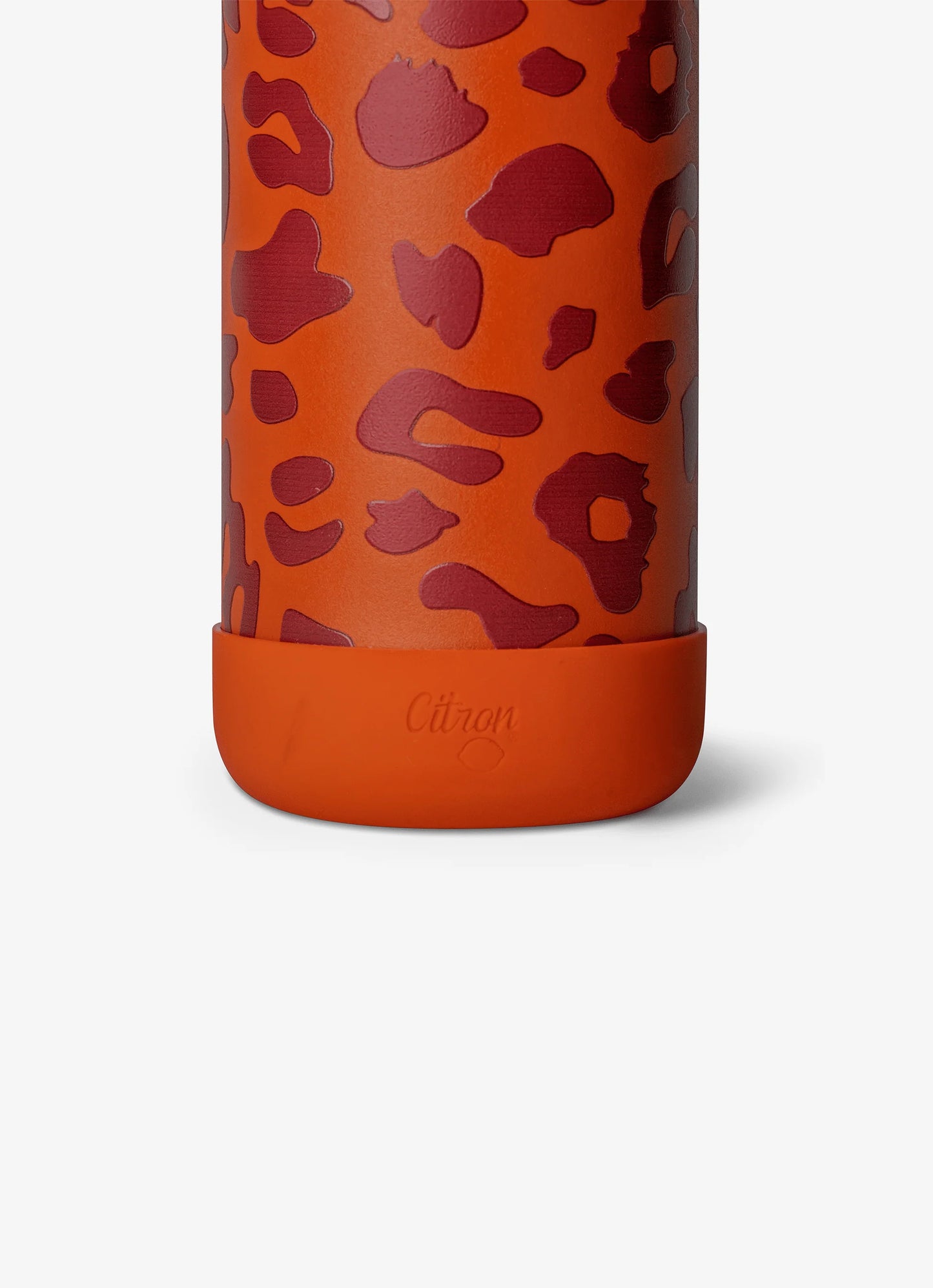 750ml Insulated Water Bottle Leo