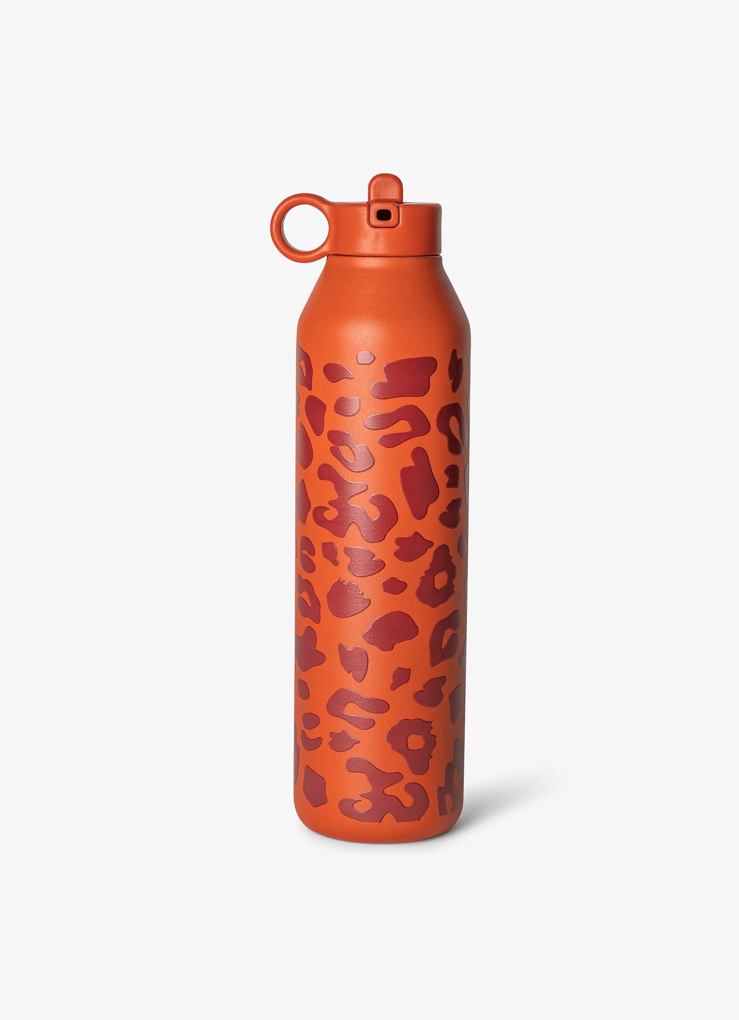 750ml Insulated Water Bottle Leo