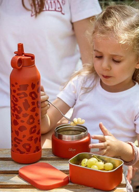 750ml Insulated Water Bottle - Leo