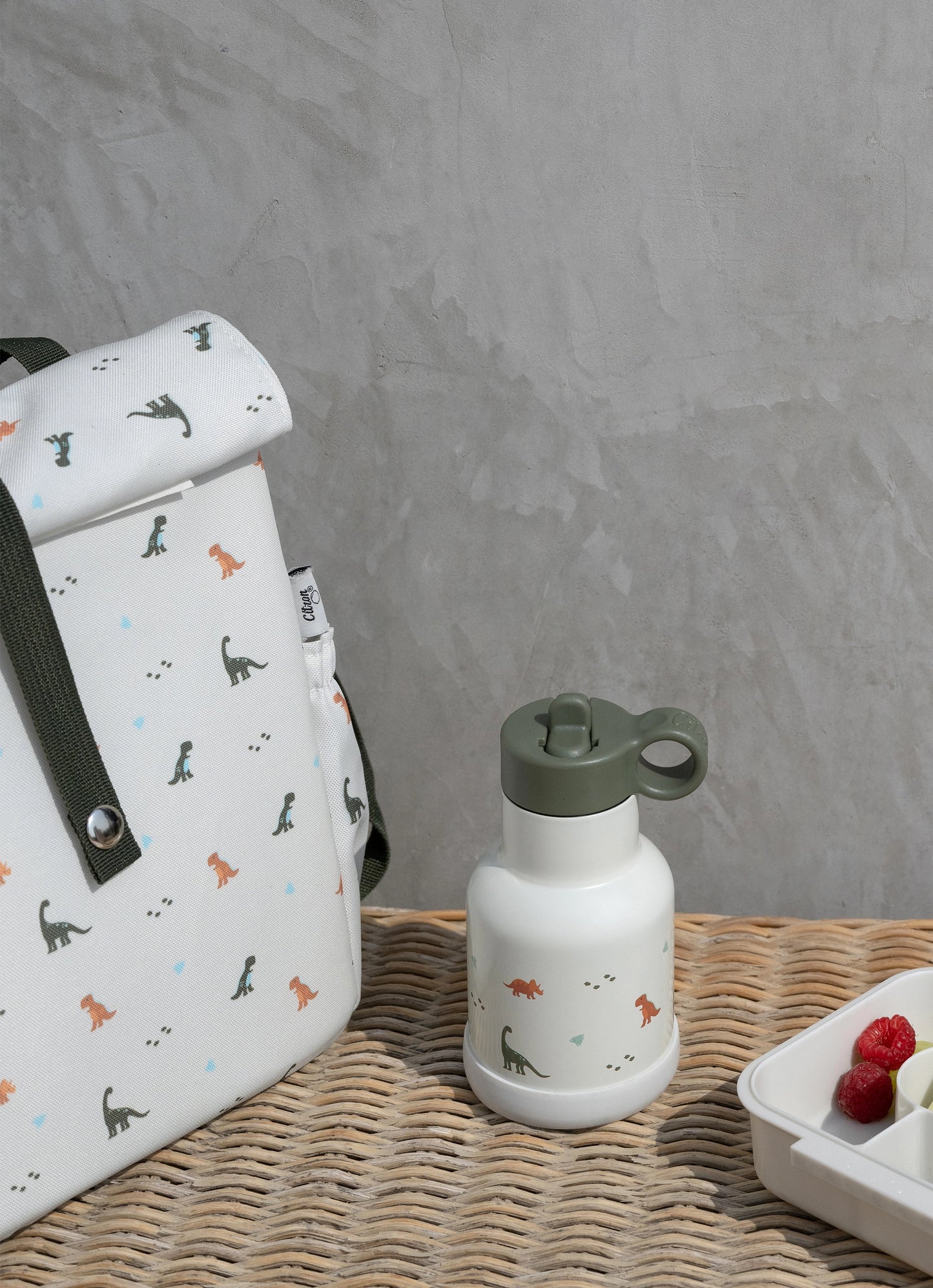 Rollup Thermal Lunch Bag - Dino