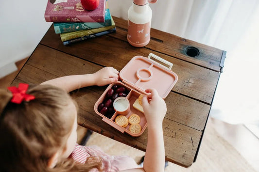 Kids Snack Box Ideas and Buying Guide for Busy Family Routines
