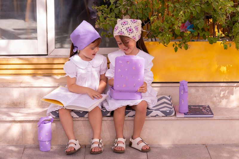 How to Choose the Right Number and Size of Lunchbox Compartments