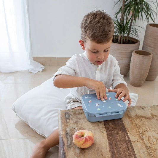 How to Choose the Right Number and Size of Lunchbox Compartments