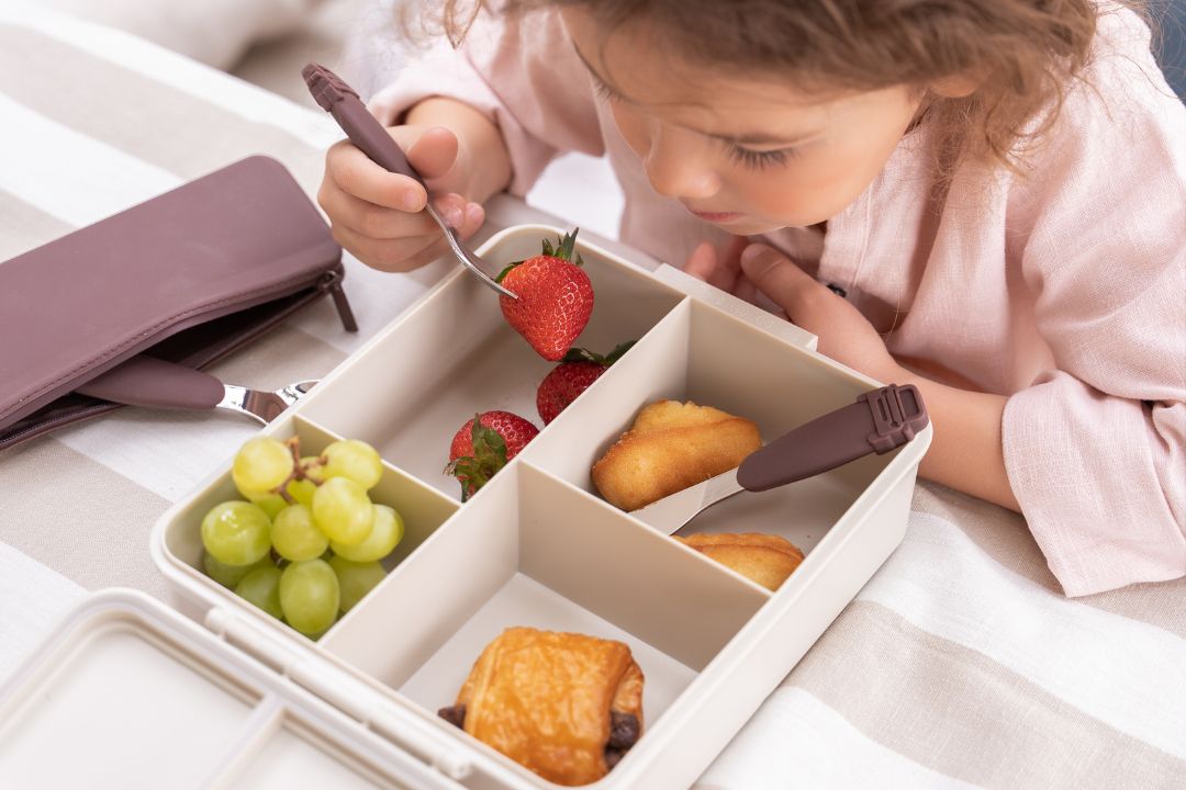 BPA free lunch boxes