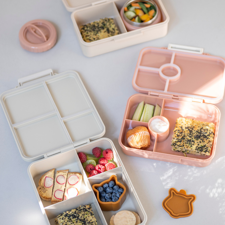 Meal Prep Containers