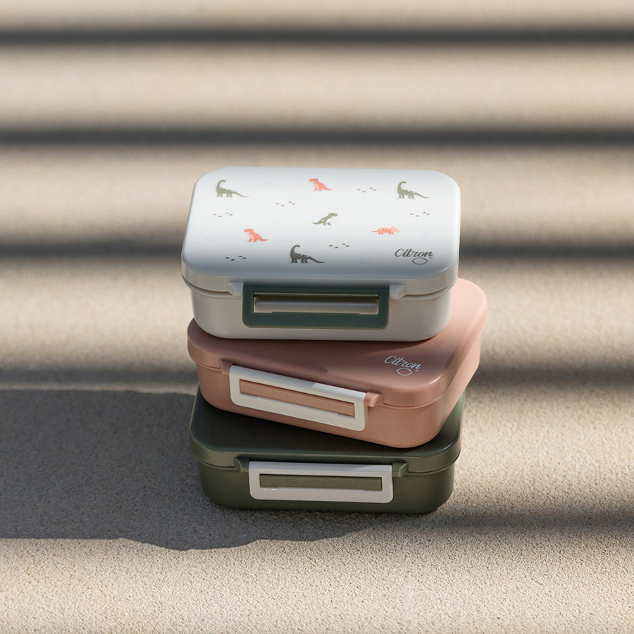 Snack Boxes