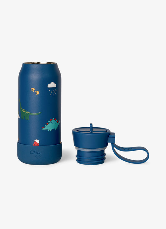 250ml Insulated Water Bottle - Dino