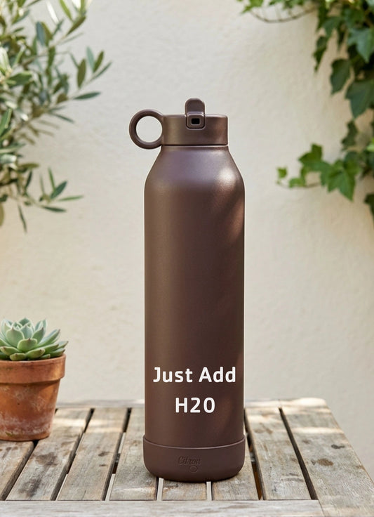 750ml Insulated Water Bottle - Plum