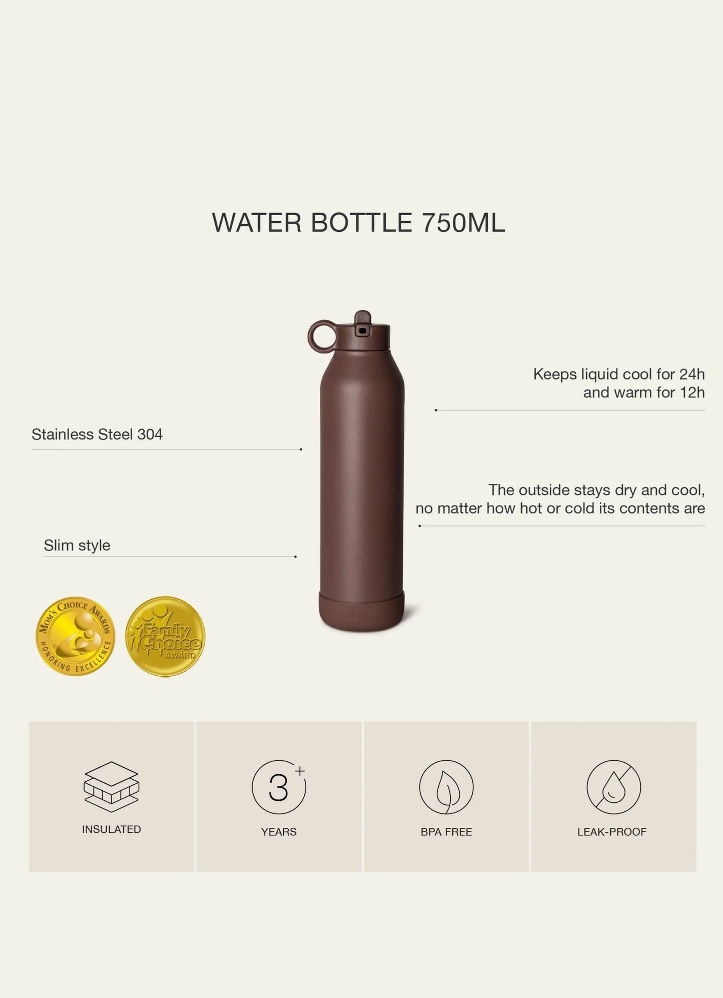 750ml Insulated Water Bottle - Leo