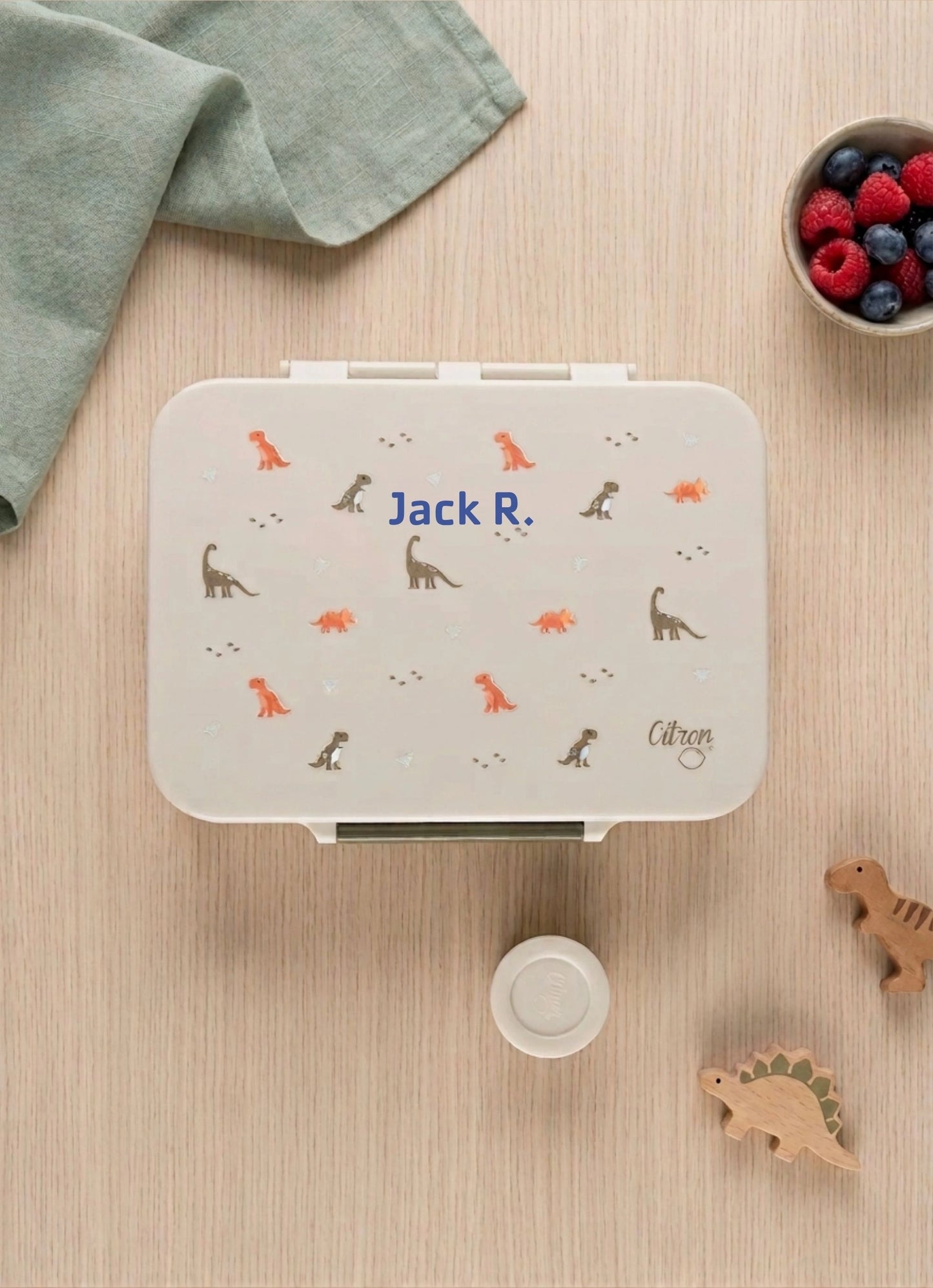 Tritan Lunch Box - Dino