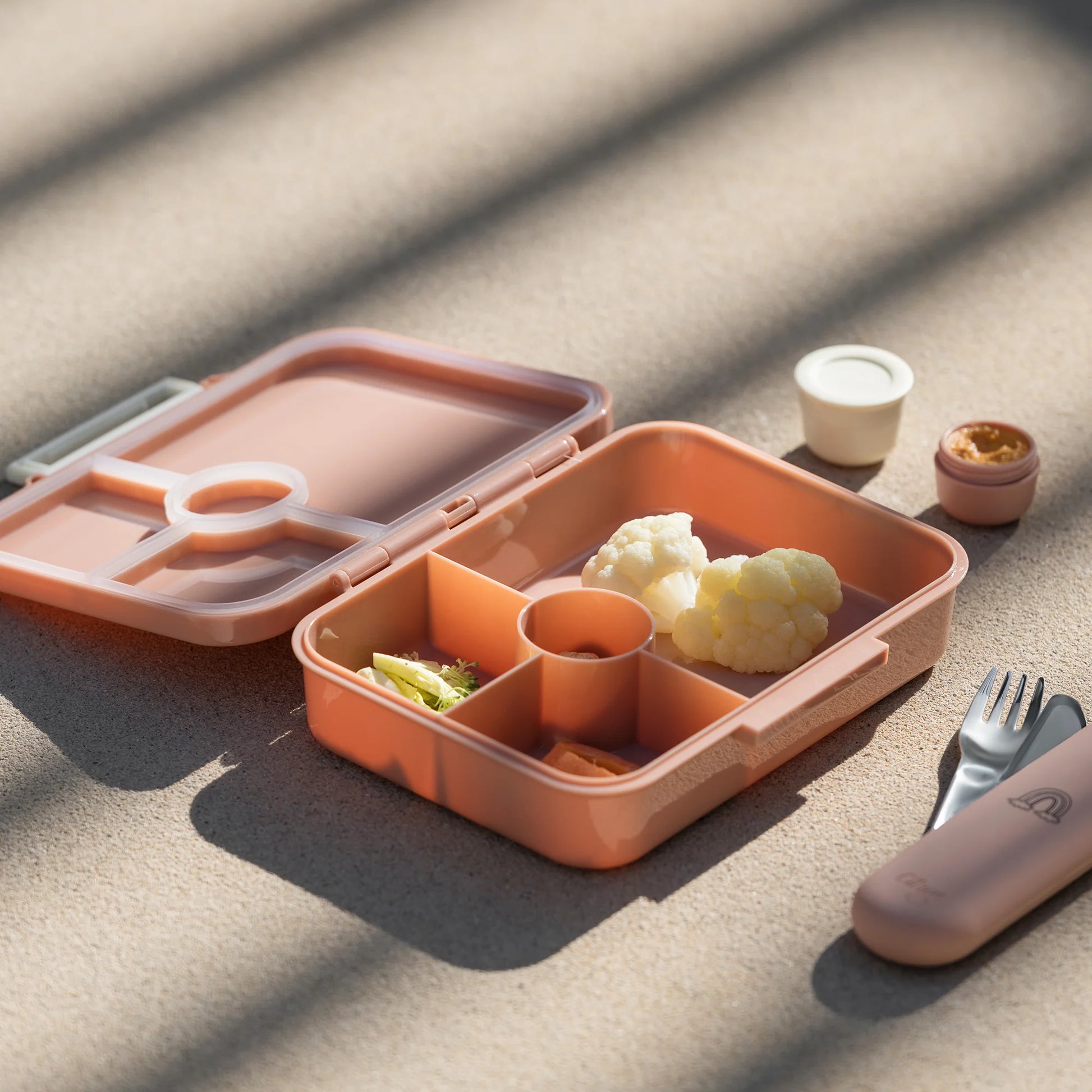 Where can i get a lunch discount box