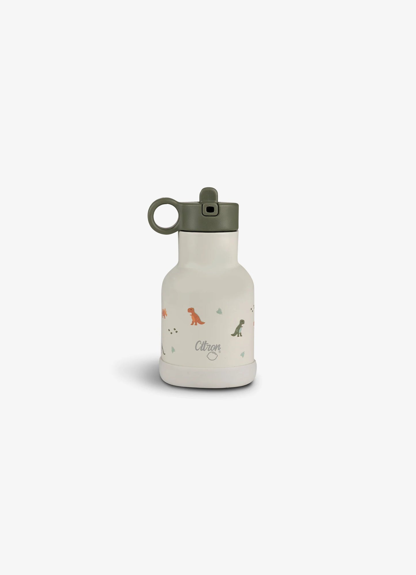 250ml Insulated Water Bottle Dino