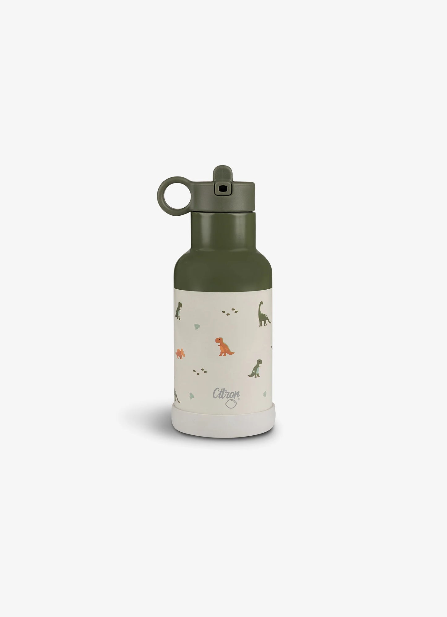 350ml Insulated Water Bottle Dino