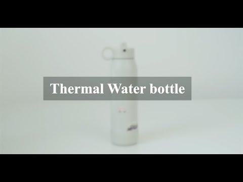 350ml Insulated Water Bottle - Ballerina