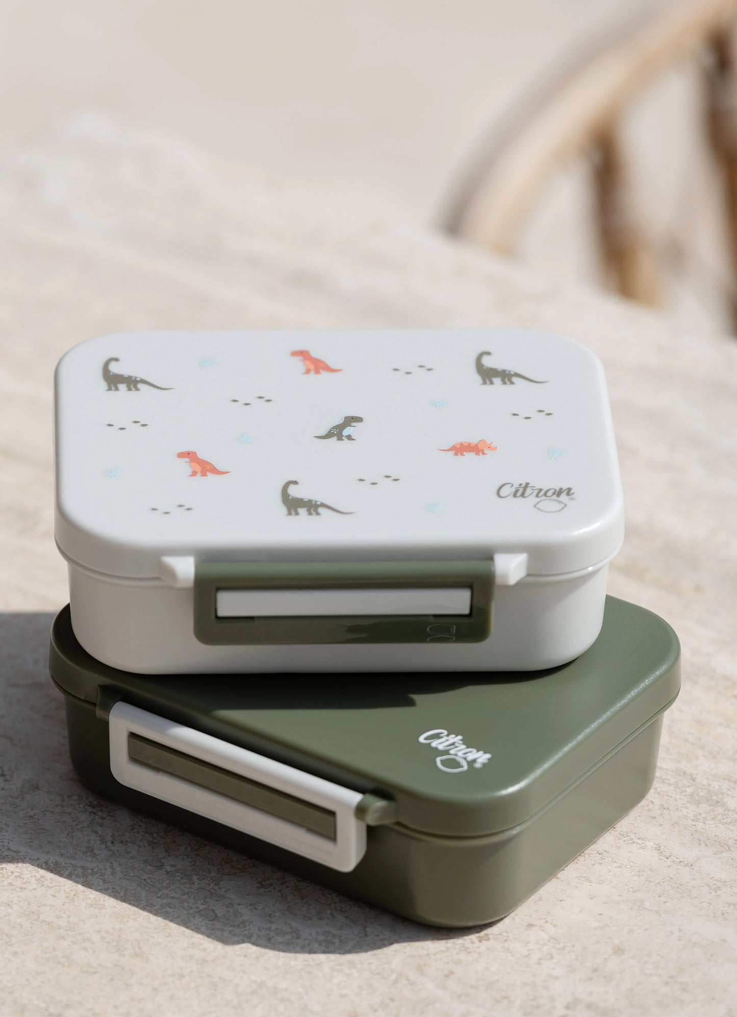 Tritan Lunch Box - Dino