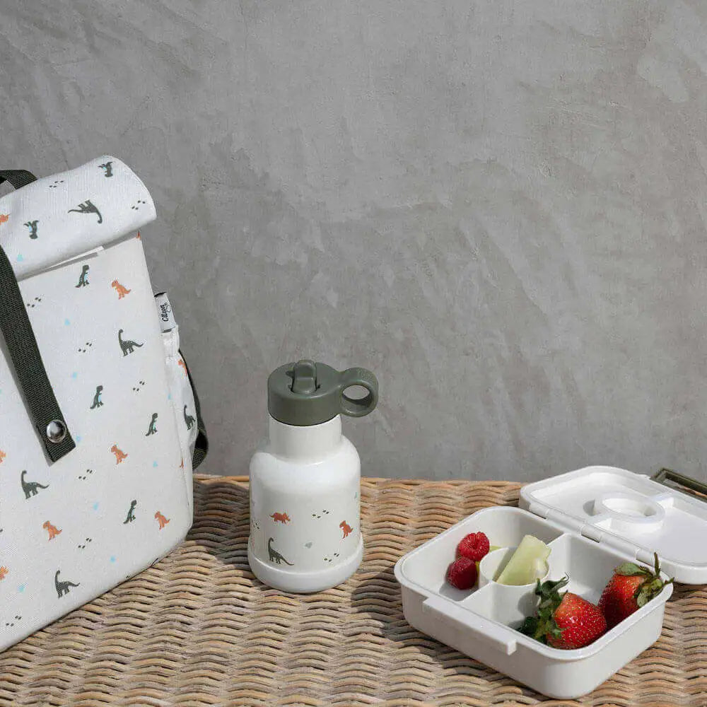 dino roll up lunch bag with snack box and water bottle